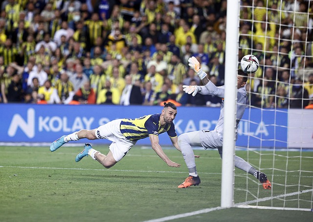 结果的影响 结果的影响